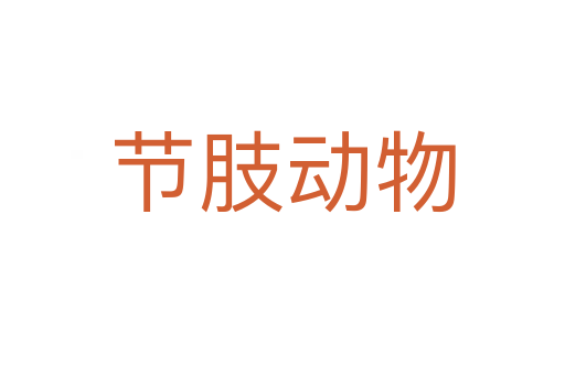 節肢動物