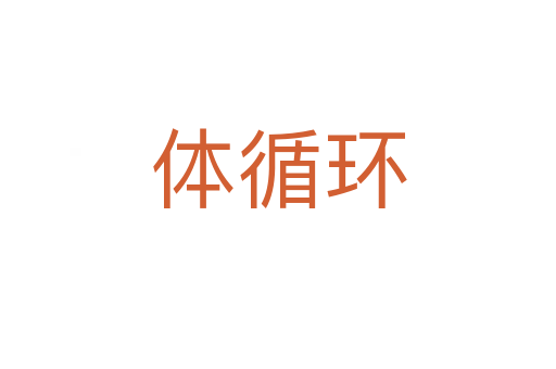 體循環