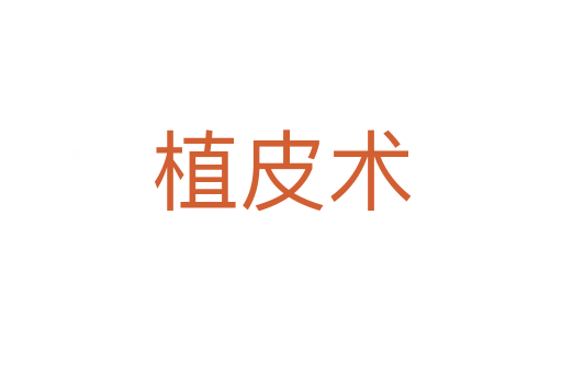 植皮術