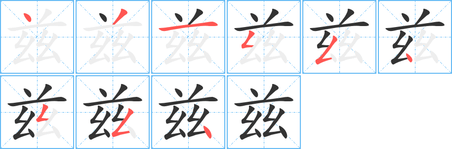 茲的筆順分步演示