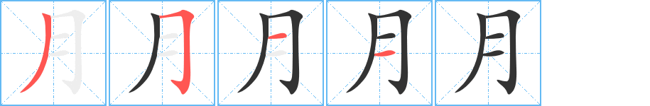 月的筆順分步演示