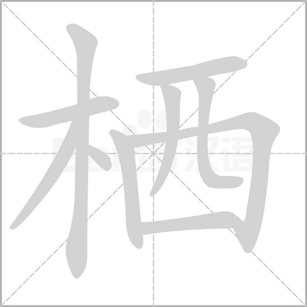 棲的筆順動(dòng)畫(huà)演示