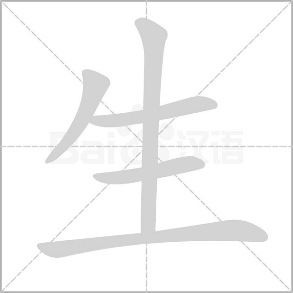 生的筆順動畫演示