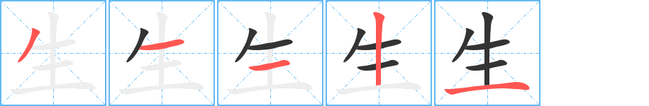 生的筆順分步演示