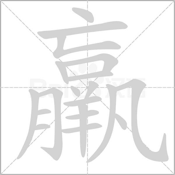 羸的筆順動畫演示