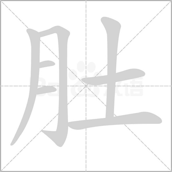 肚的筆順動畫演示