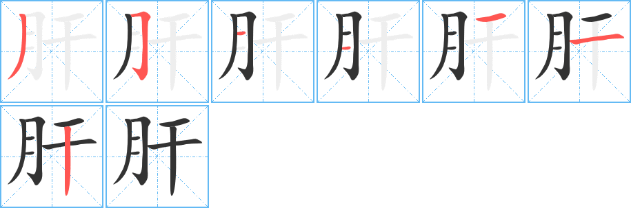 肝的筆順?lè)植窖菔?>
					
                    <hr />
                    <h2>肝的基本信息</h2>
                    <div   id=