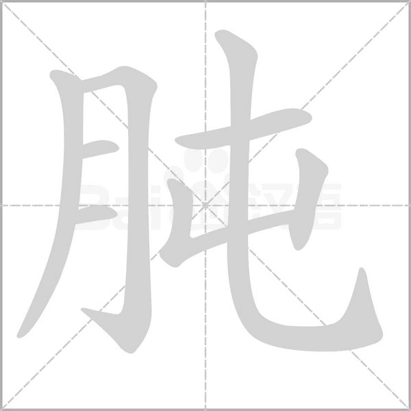 肫的筆順動畫演示