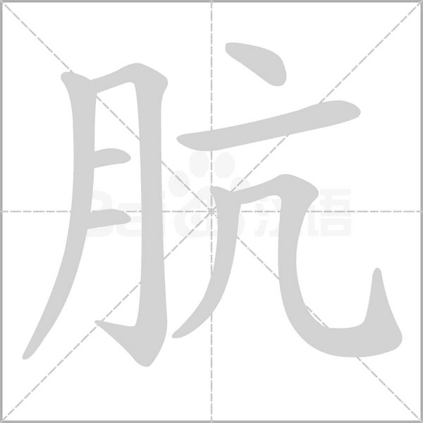 骯的筆順動(dòng)畫演示