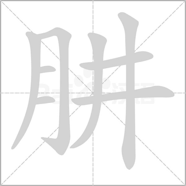 肼的筆順動(dòng)畫演示