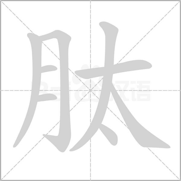 肽的筆順動(dòng)畫(huà)演示