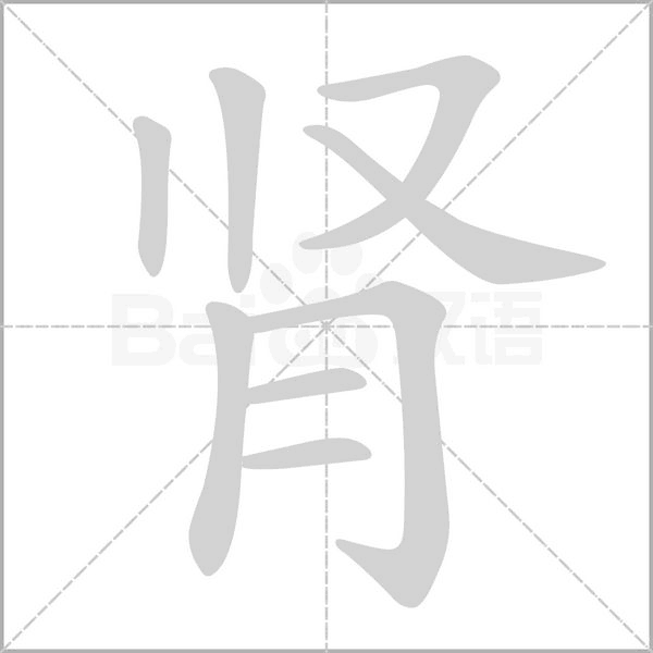腎的筆順動畫演示
