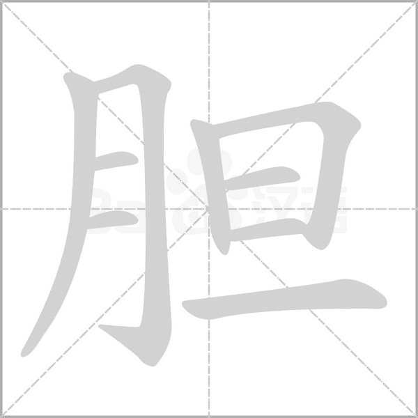 膽的筆順動畫演示