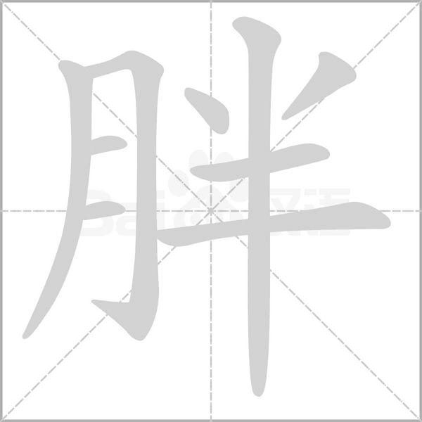 胖的筆順動畫演示