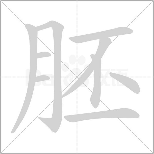 胚的筆順動(dòng)畫演示