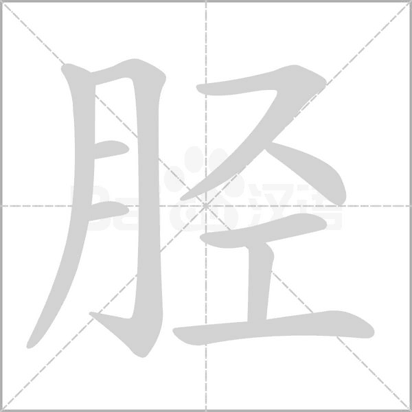 脛的筆順動畫演示