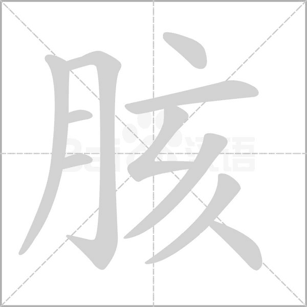 胲的筆順動畫演示