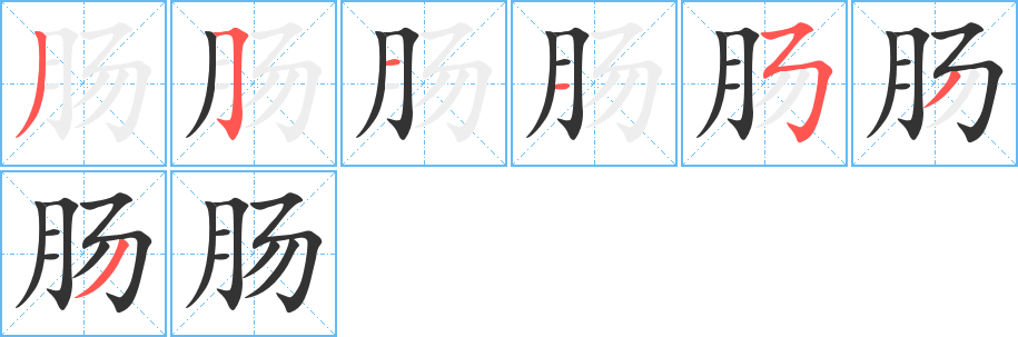 腸的筆順分步演示