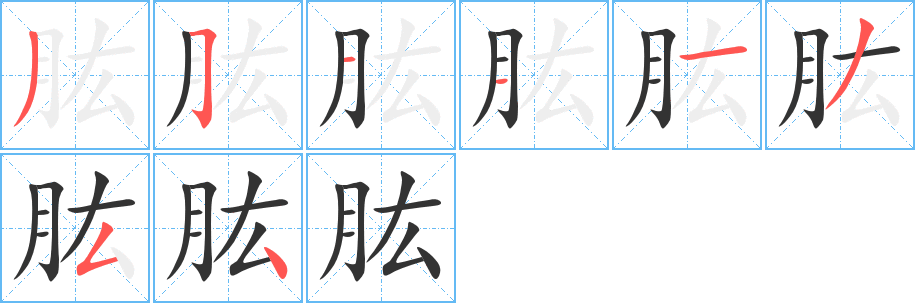 肱的筆順分步演示