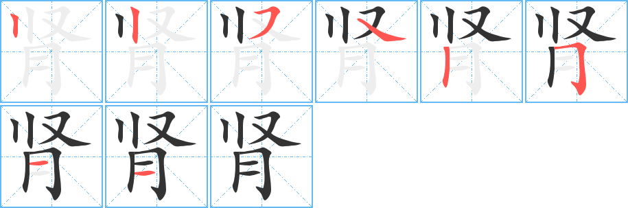腎的筆順分步演示