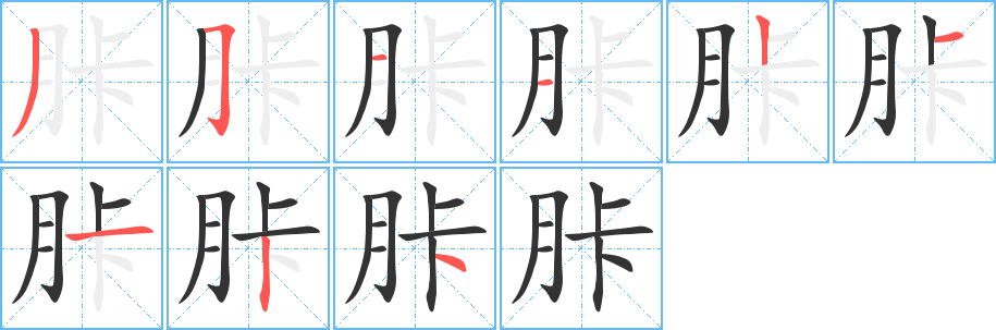 胩的筆順分步演示