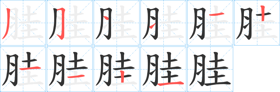 胿的筆順分步演示