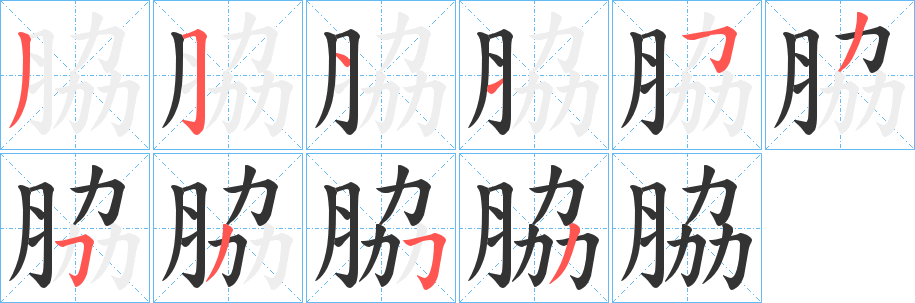 脇的筆順分步演示