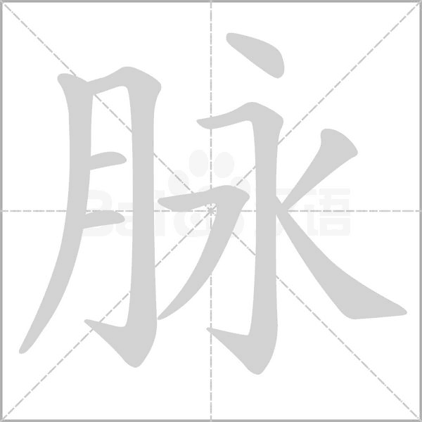 脈的筆順動畫演示