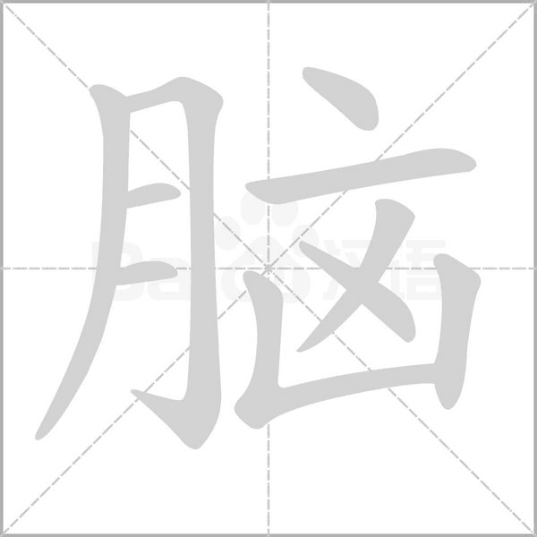 腦的筆順動畫演示