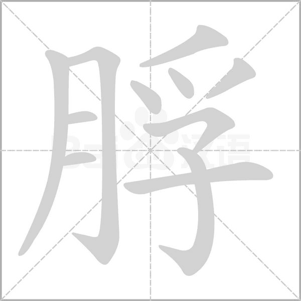 脬的筆順動畫演示