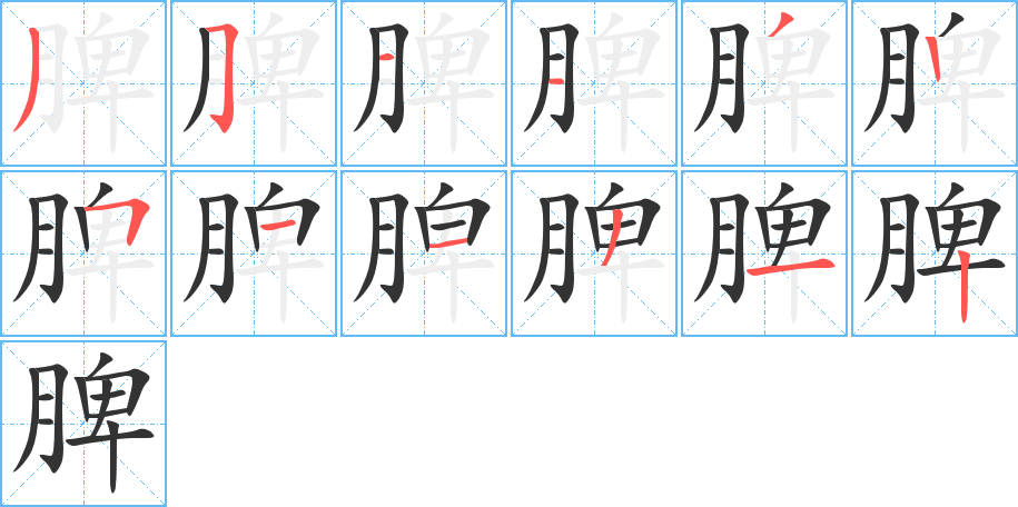 脾的筆順分步演示