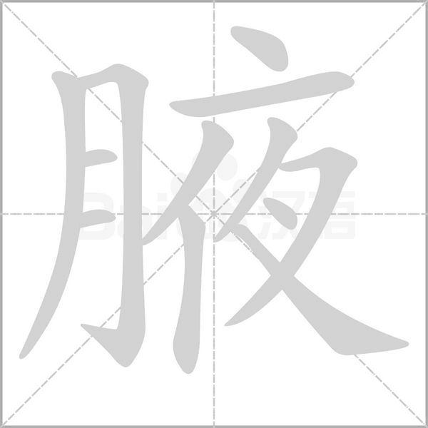 腋的筆順動畫演示