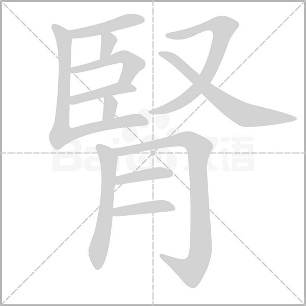 腎的筆順動畫演示