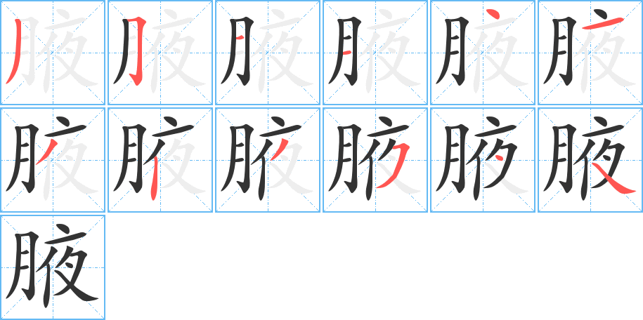 腋的筆順分步演示