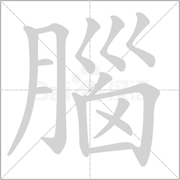 腦的筆順動畫演示