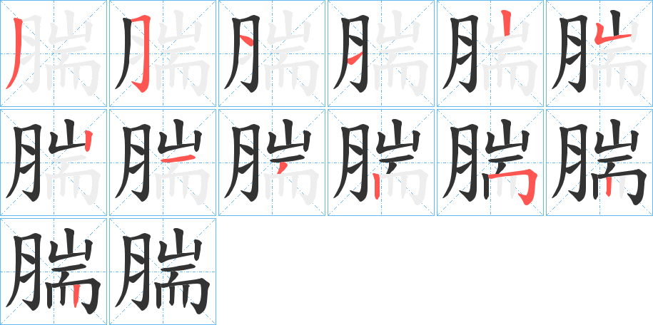 腨的筆順分步演示