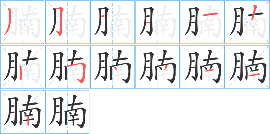 腩的筆順分步演示