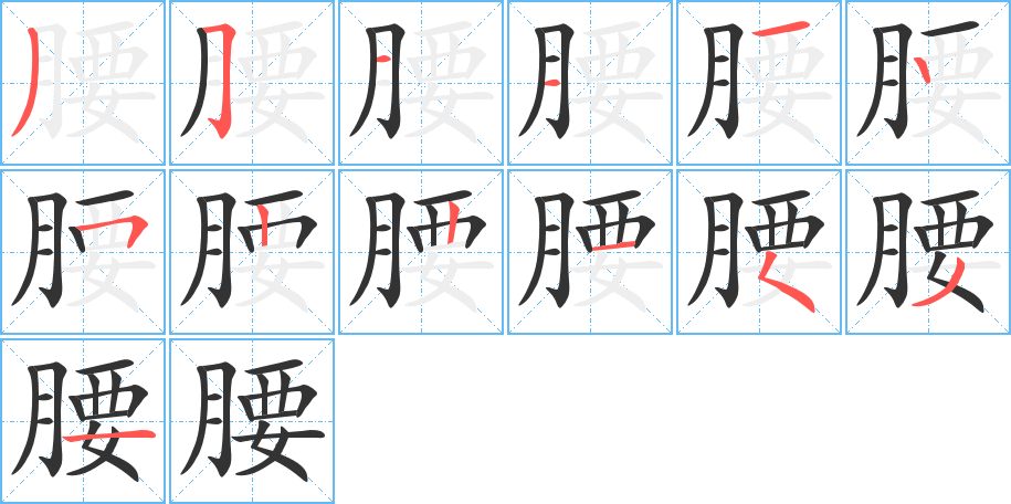 腰的筆順分步演示