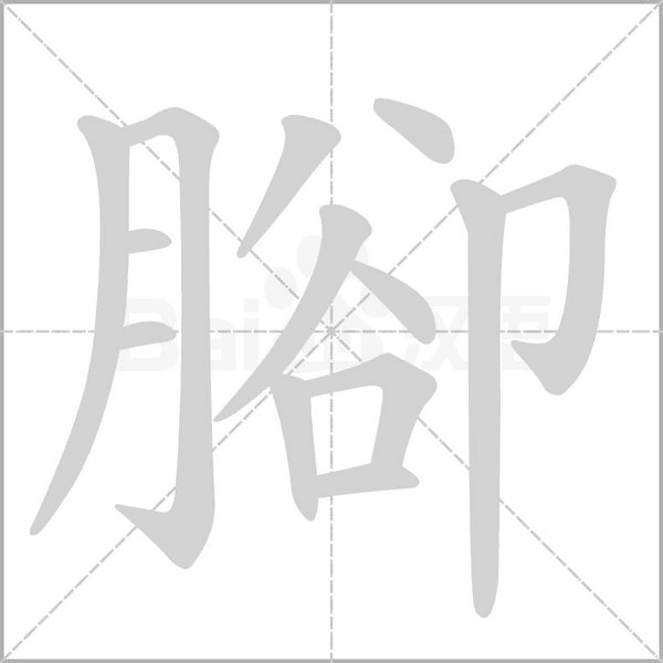 腳的筆順動(dòng)畫(huà)演示