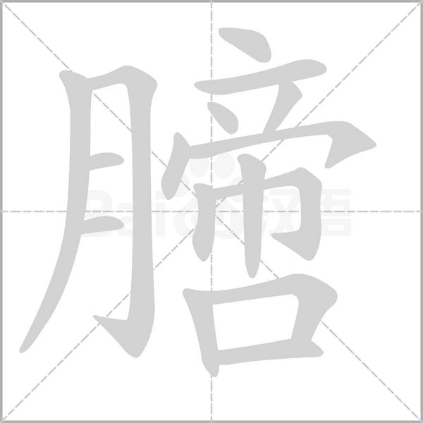 膪的筆順動畫演示