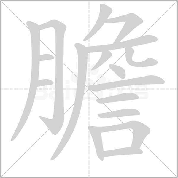 膽的筆順動畫演示