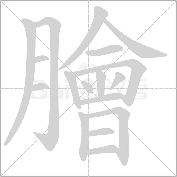 膾的筆順動(dòng)畫(huà)演示