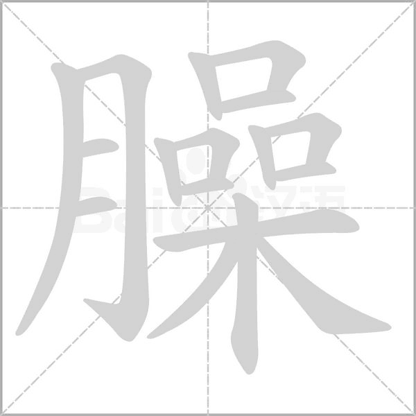 臊的筆順動(dòng)畫(huà)演示