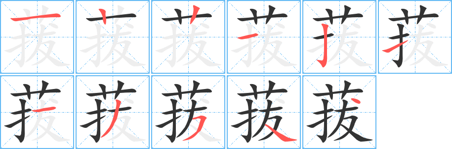 菝的筆順?lè)植窖菔?>
					
                    <hr />
                    <h2>菝的基本信息</h2>
                    <div   id=