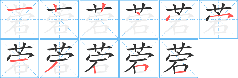 菪的筆順?lè)植窖菔?>
					
                    <hr />
                    <h2>菪的基本信息</h2>
                    <div   id=