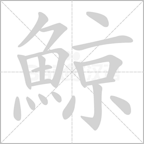 鯨的筆順動(dòng)畫演示
