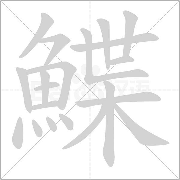 鰈的筆順動畫演示