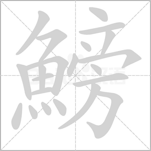 鰟的筆順動畫演示