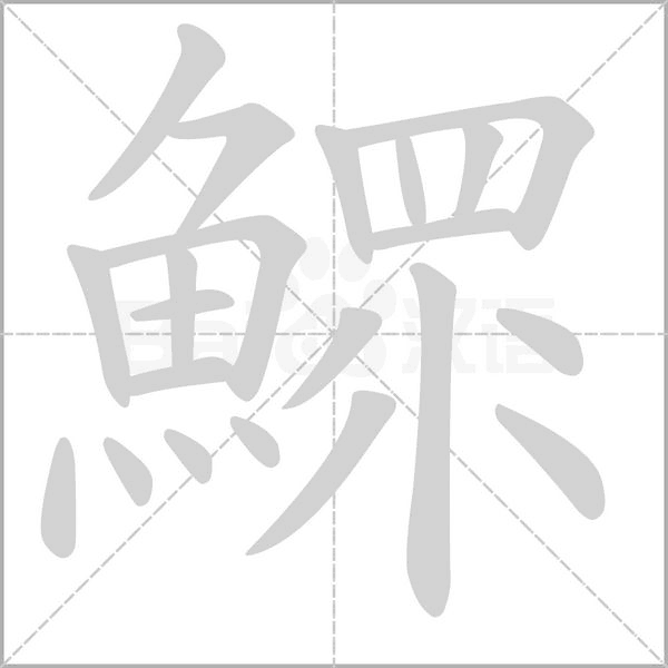 鰥的筆順動(dòng)畫演示