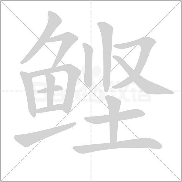鰹的筆順動畫演示